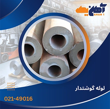 لوله گوشتدار